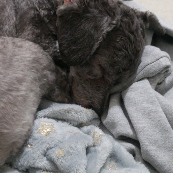 Meet your Posher, Praparnrat - Picture 1 of 1